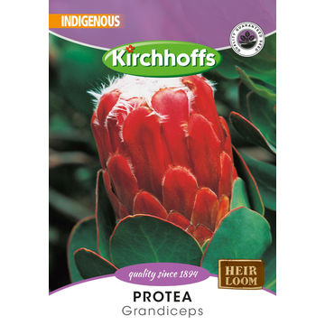 Picture Packet Variety Pack Flower Seeds