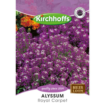 Kirchhoffs seed flower alyssum royal carpet