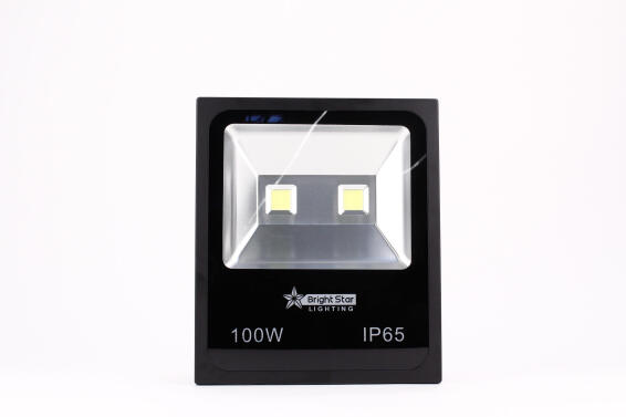 Brightstar 100W LED FloodLight 100 2COB