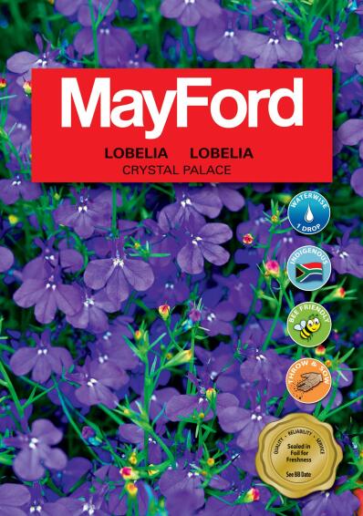 Seeds Floral