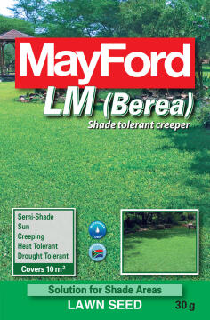 Mayford Grass Seed Berea LM Pack 30g