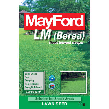 Mayford Grass Seed Berea LM Pack 30g