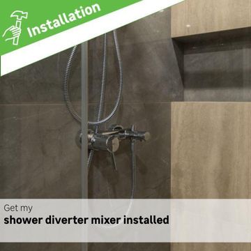 Shower mixer (diverter mixer)