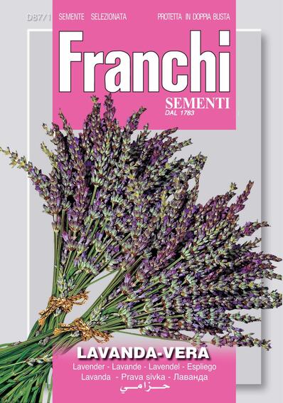 Lavender Seed