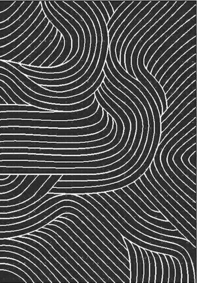 RUG SINOUS BLACKOUT 160X230
