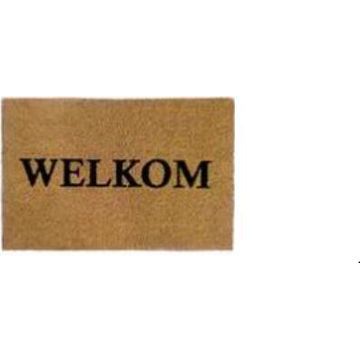 Doormat Coir Welkom 40x60cm