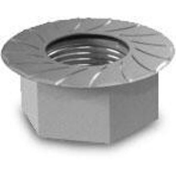 Hexa Flandge Nut With Serration M10 10PK