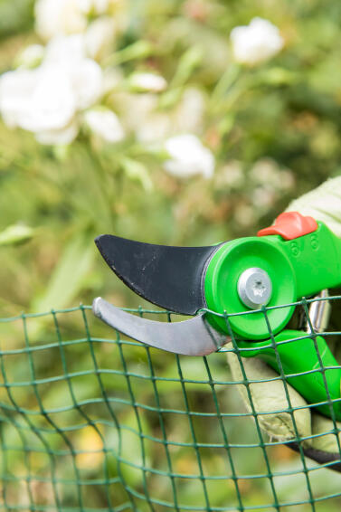 Geolia Pruner Secateur Steel Bypass 21.5cm