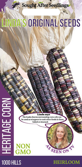 SEED HERITAGE CORN 1000 HILLS