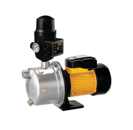Pump .75Kw S/S Pro Pumps