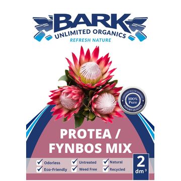 Bark Protea and Fynbos Mix