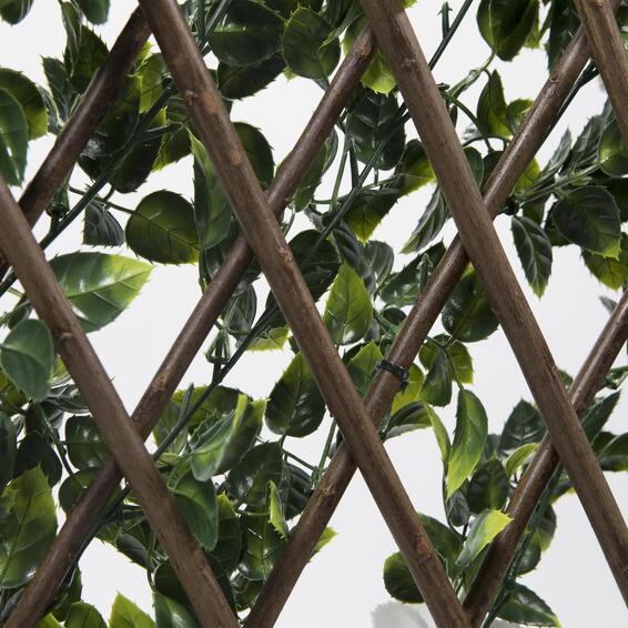 NATURAL EXTENSIBLE FOREST JASMIN LATTICE PRIVACY FRAME 1Mx2M 
