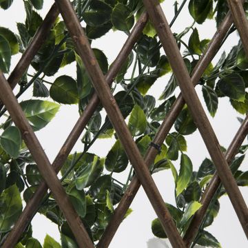 NATURAL EXTENSIBLE FOREST JASMIN LATTICE PRIVACY FRAME 1Mx2M 