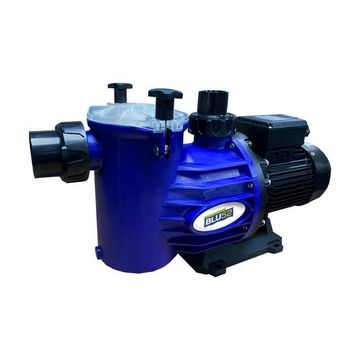 BLU52 SUNFLO 2 PUMP 0.55KW 230V 71F