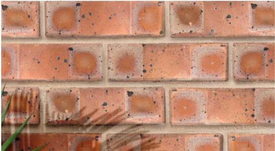 Face Brick Cameo Burgundy