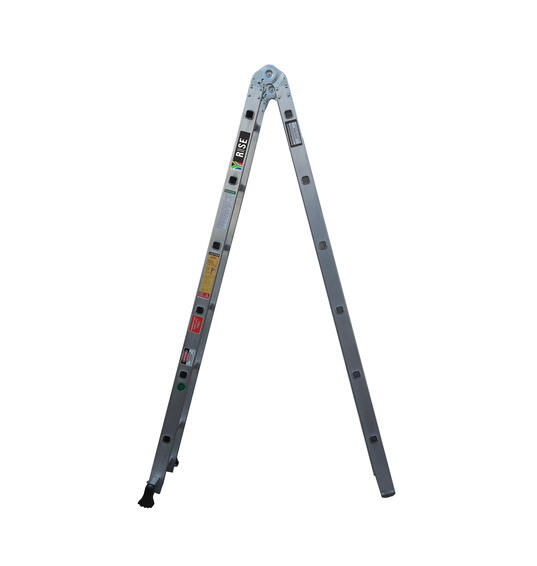 Dual Purpose Ladder