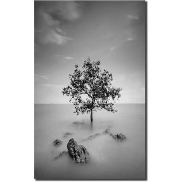 Black and White Tree  Canvas Arrt 120x750cm