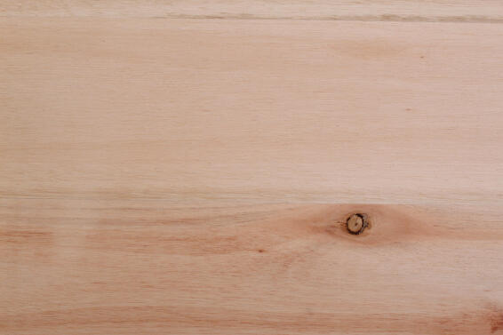 Saligna Laminate Flooring Plank T20mm x W305 x L900mm