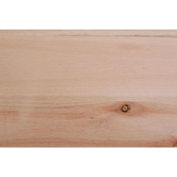 Saligna Laminate Flooring Plank T20mm x W305 x L900mm