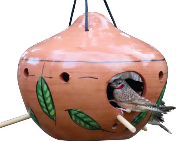  Terracotta Calabash Feeder