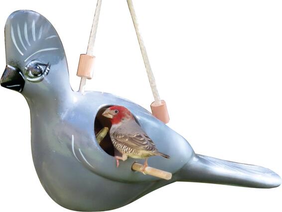 Elaines birding grey loerie bird feeder