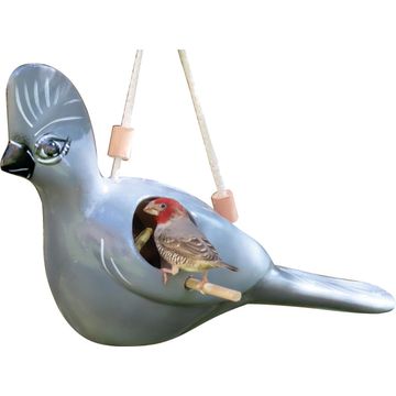 Elaines birding grey loerie bird feeder