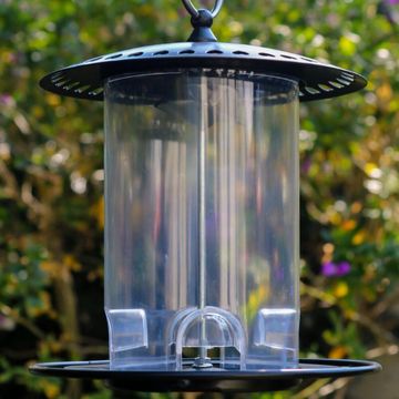 METAL BIRD HEART FEEDER