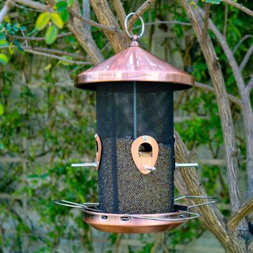 COPPER ROSE GOLD BIRD FEEDER