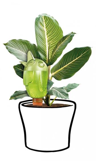 Scheurich pot dripper boerdy transparent 29cm