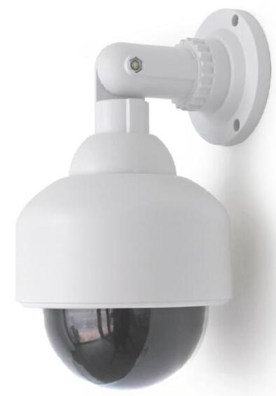 Camera dummy AVIDSEN dome