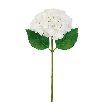 Hydrangea rt white 18.5
