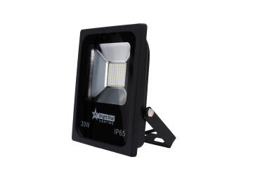 Flood Light 30 Watt Led Flood