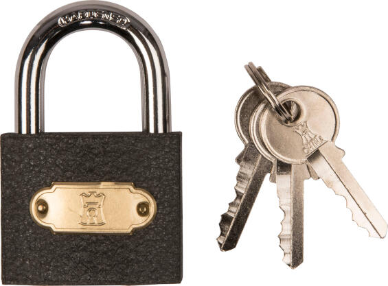 FORT KNOX IRON PADLOCK 50MM
