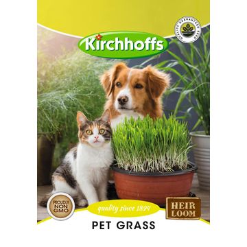 Kirchhoffs seed herb petgrass
