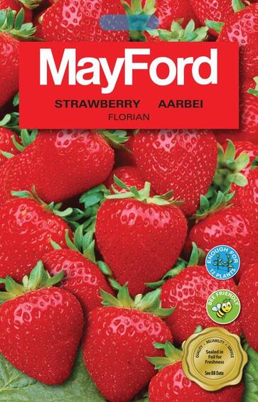 MAYFORD MEGA SEED PACKS