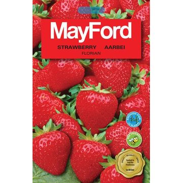 MAYFORD MEGA SEED PACKS