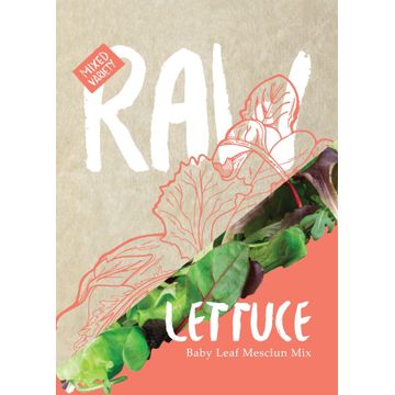 Raw seed lettuce mesclun mix
