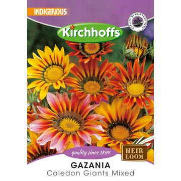 Kirchhoffs seed flower gazania caledon giants