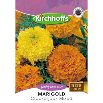 Kirchhoffs seed flower marigold cracker jack