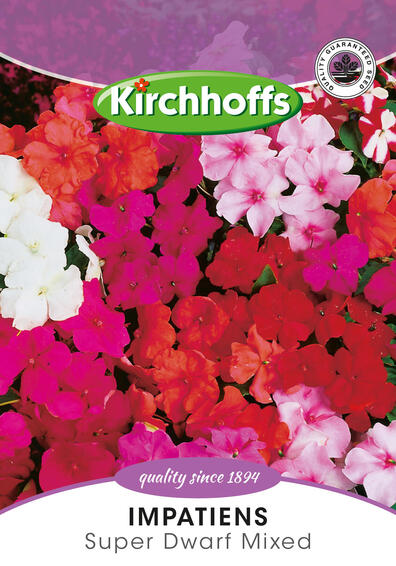 Kirchhoffs seed flower impatients super dwarf mix