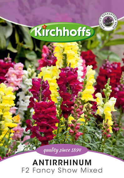 Kirchhoffs seed flower antirrhinum f2 fancy