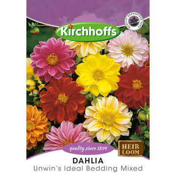 Kirchhoffs seed flower dhalia unwins ideal