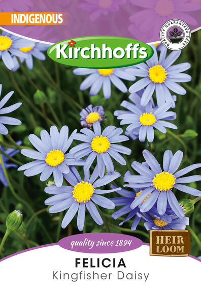 Kirchhoffs seed flower felicia kingfisher