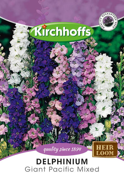Kirchhoffs seed flower delphinium giant