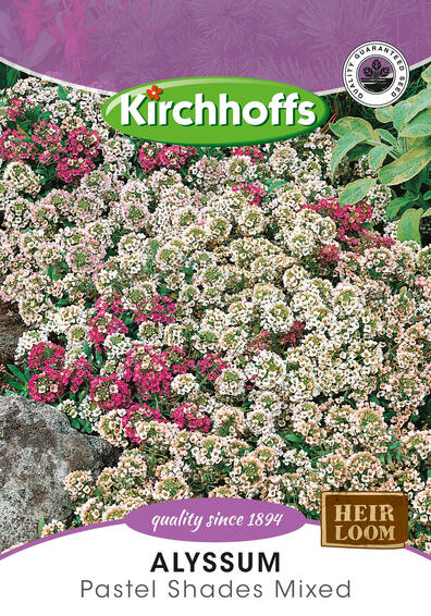 Kirchhoffs seed flower alyssum pastel shades