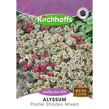 Kirchhoffs seed flower alyssum pastel shades