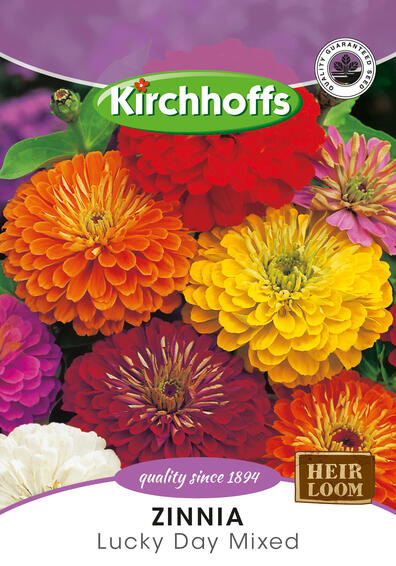 Kirchhoffs seed flower zinnia lucky day mix