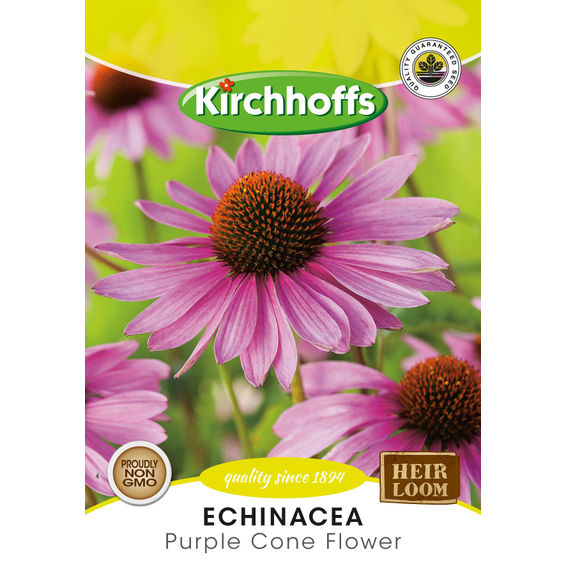 Kirchhoffs seed herb echinacea | Leroy Merlin South Africa