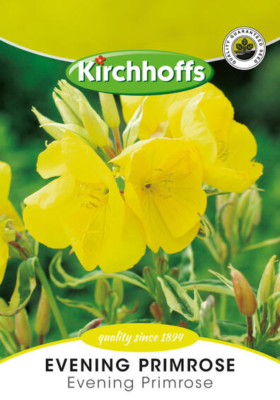 Kirchhoffs seed herb evening primrose