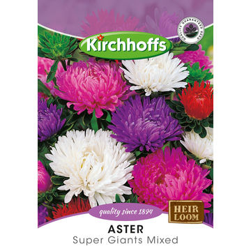 Kirchhoffs seed flower aster super giant mix